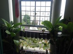Hillview Heights (D23), Condominium #141302452